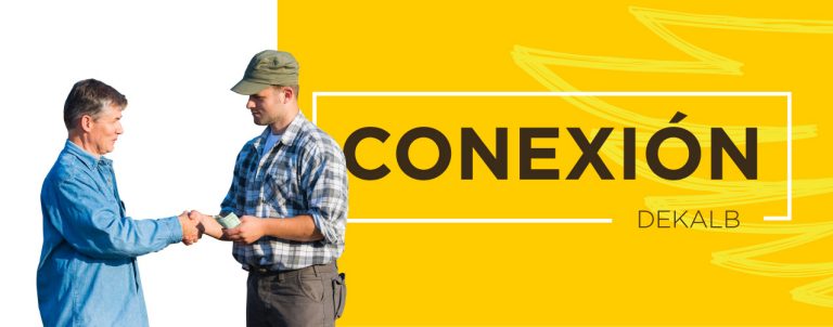 CONEXIÓN DEKALB