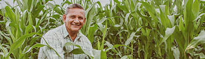 DEKALB - Cultivo de Maíz