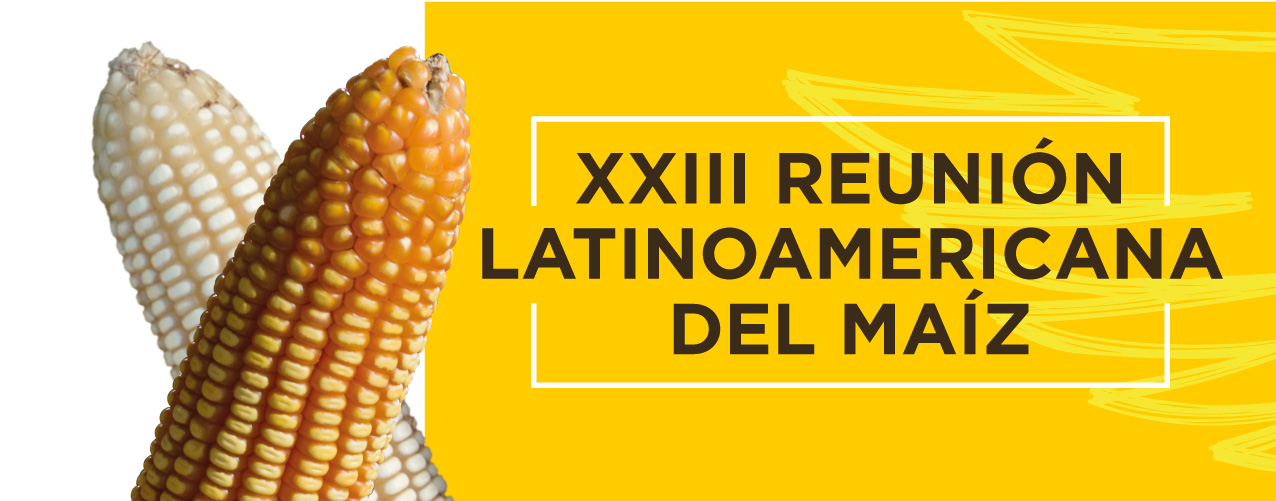 DEKALB - Cultivo de Maíz