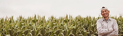 DEKALB - Cultivo de Maíz