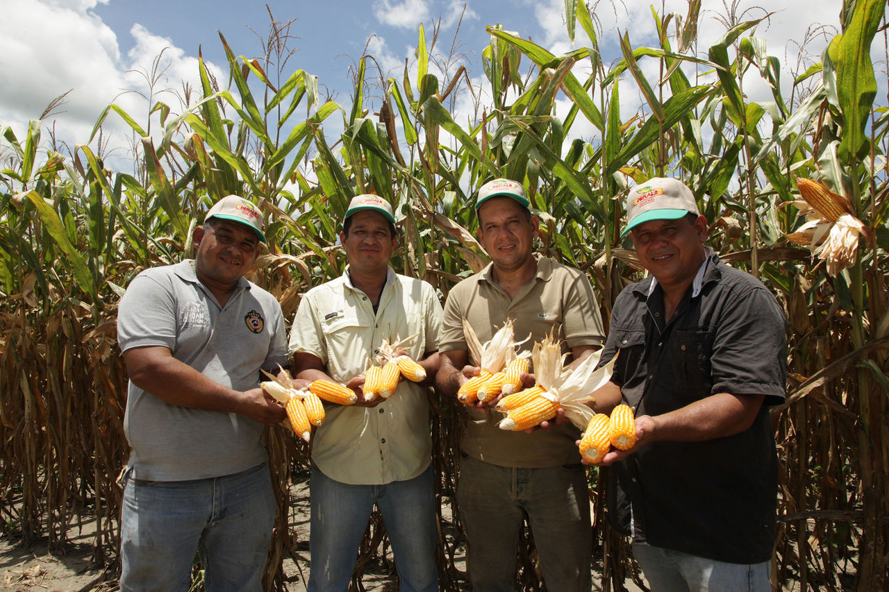 DEKALB - Buenas prácticas agrícolas
