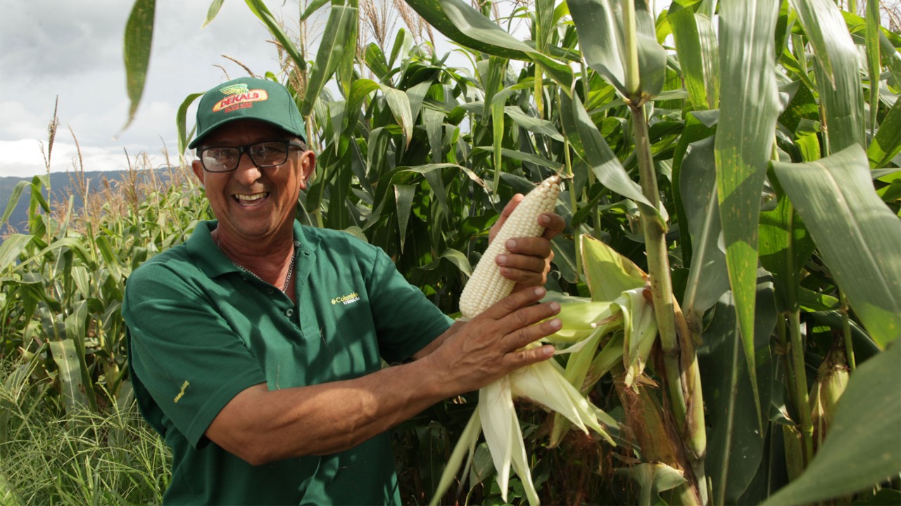 DEKALB - Buenas prácticas agrícolas