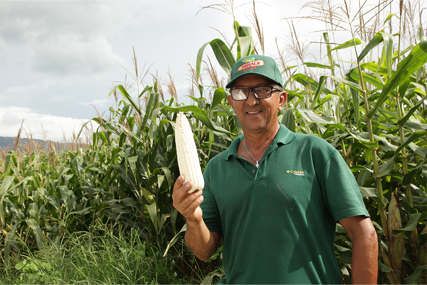 DEKALB - Buenas prácticas agrícolas