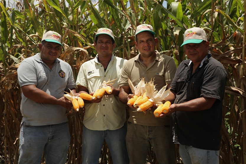 DEKALB - Buenas prácticas agrícolas