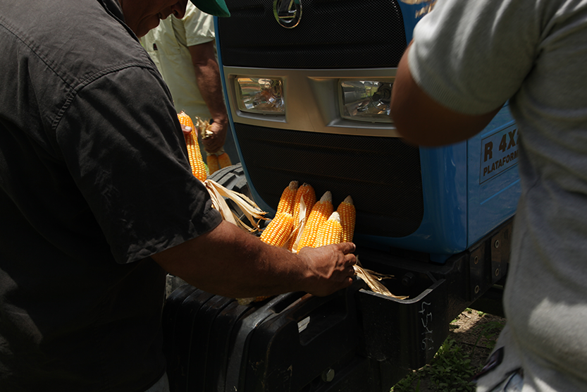 DEKALB - Buenas prácticas agrícolas