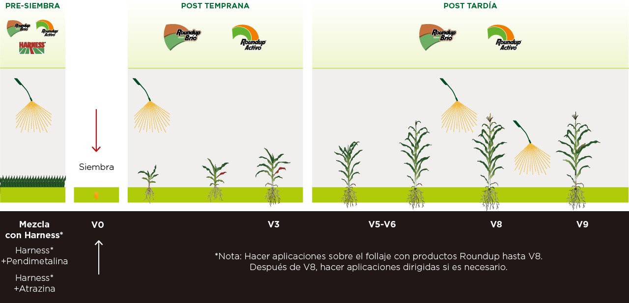 DEKALB - Buenas prácticas agrícolas
