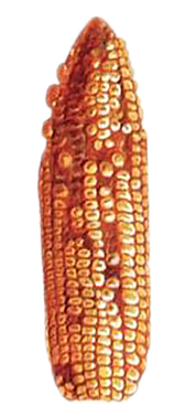 DEKALB - Enfermedades del maíz