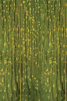 DEKALB - Enfermedades del maíz