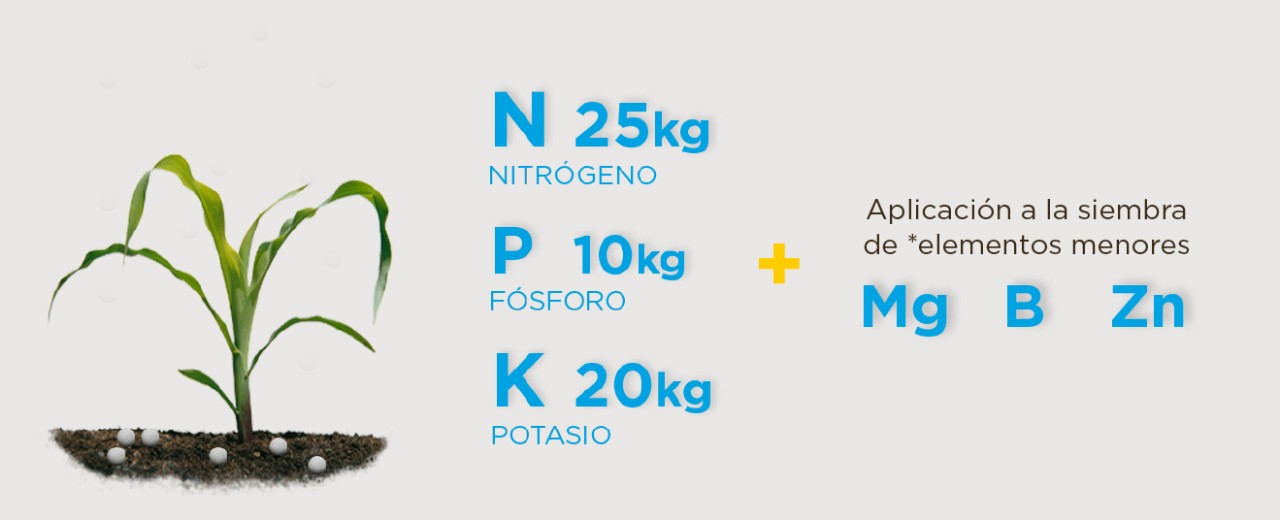 DEKALB - Buenas prácticas agrícolas