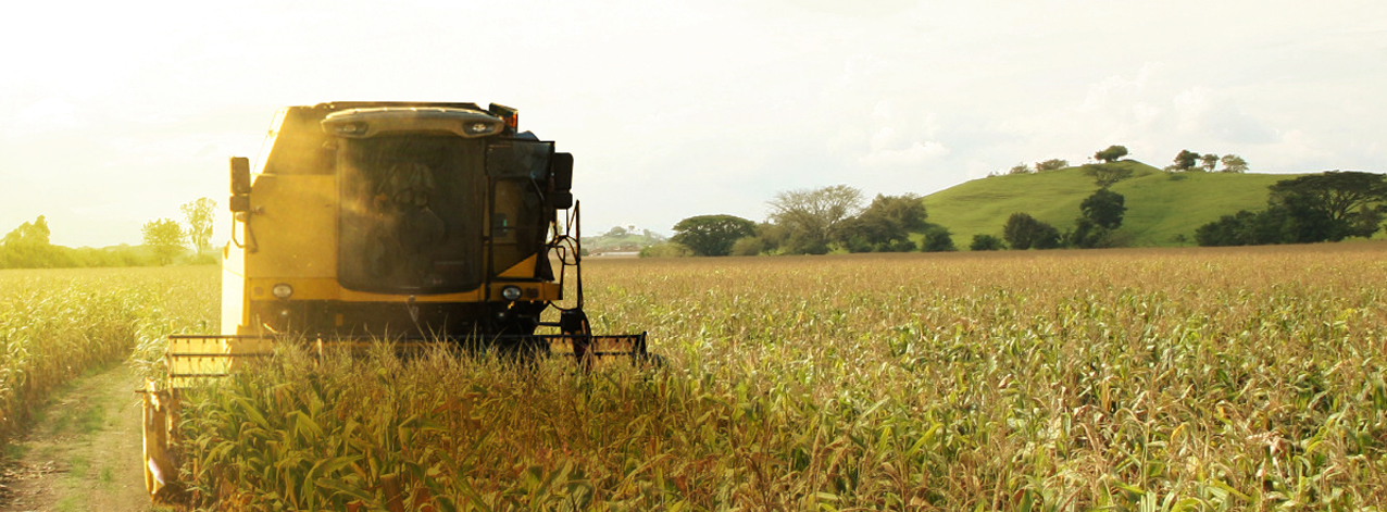 DEKALB - Buenas prácticas agrícolas