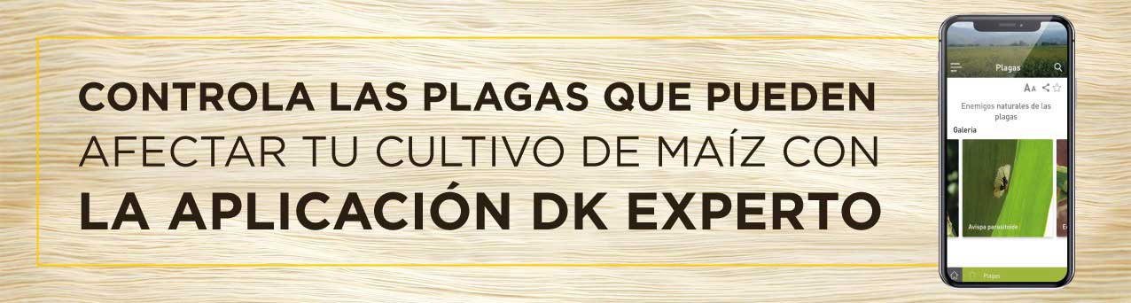 DEKALB - Buenas prácticas agrícolas