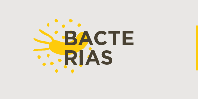 Bacterias