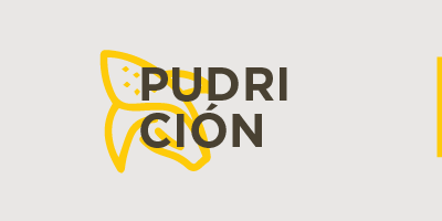 Pudrición de la mazorca