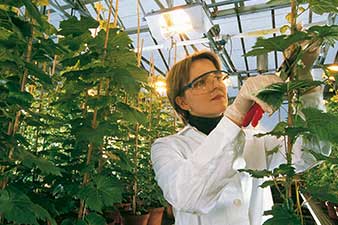 DEKALB - Buenas prácticas agrícolas