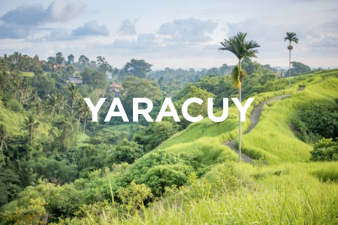 yaracuy