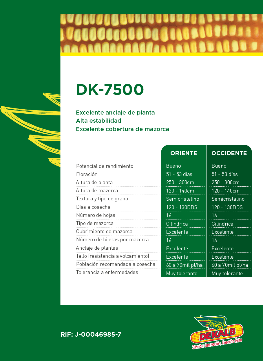 DEKALB - Buenas prácticas agrícolas