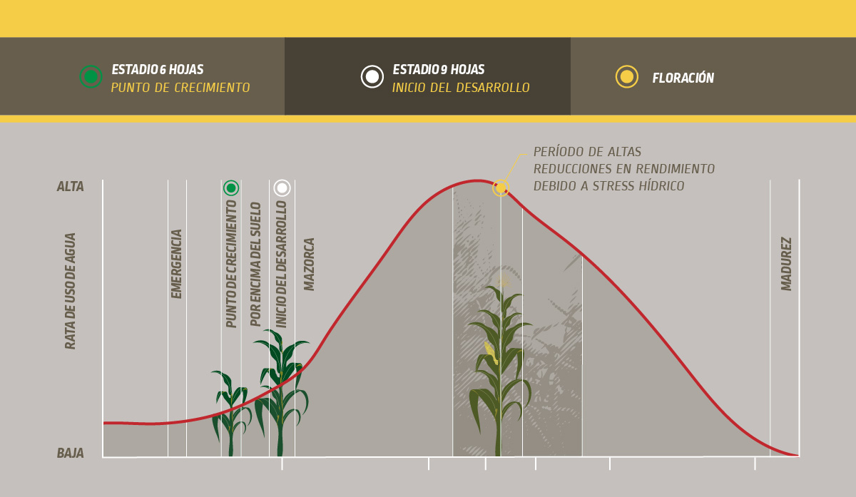DEKALB - Buenas prácticas agrícolas