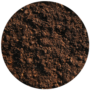 DEKALB - Cultivo de Maíz