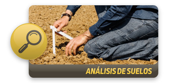 DEKALB - Buenas prácticas agrícolas