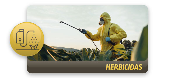 DEKALB - Buenas prácticas agrícolas