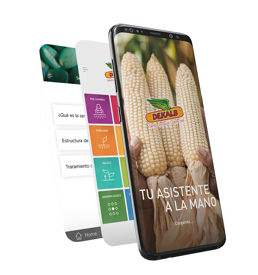 DEKALB - Buenas prácticas agrícolas