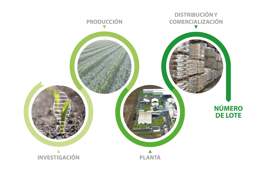 DEKALB - Buenas prácticas agrícolas