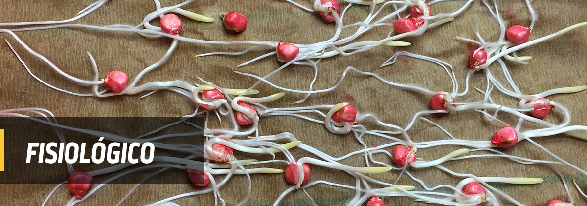 DEKALB - Buenas prácticas agrícolas