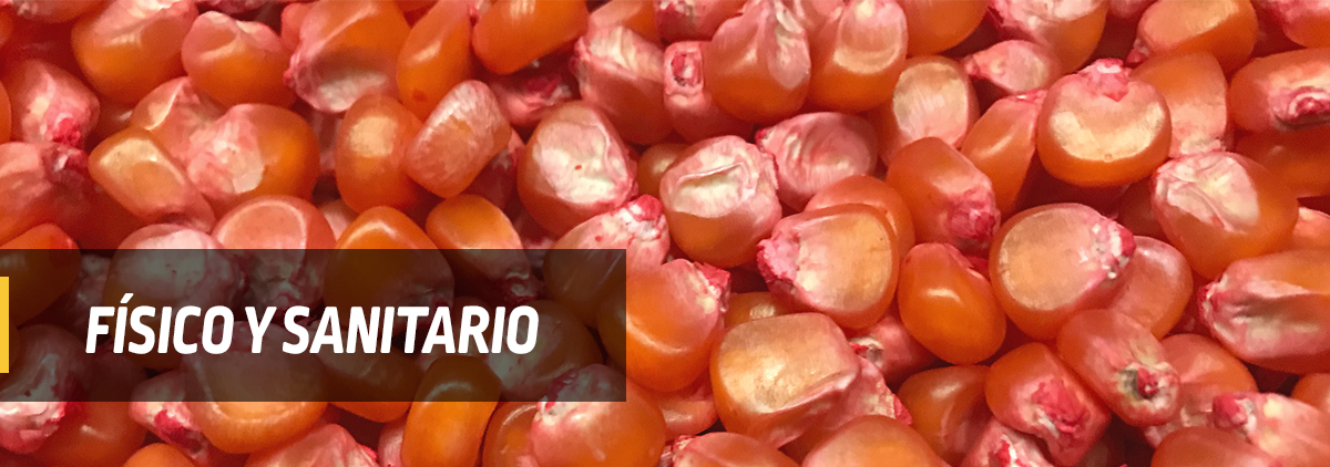 DEKALB - Buenas prácticas agrícolas