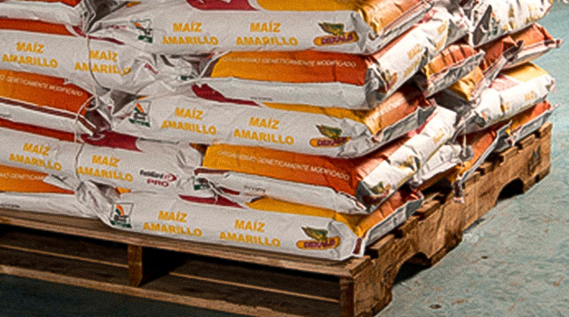 DEKALB - Semilla de maíz