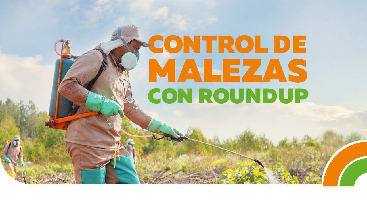 DEKALB - Buenas prácticas agrícolas