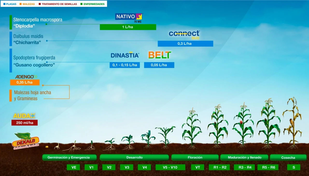 DEKALB - Buenas prácticas agrícolas