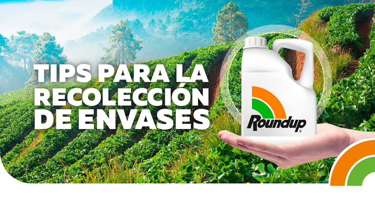 DEKALB - Buenas prácticas agrícolas