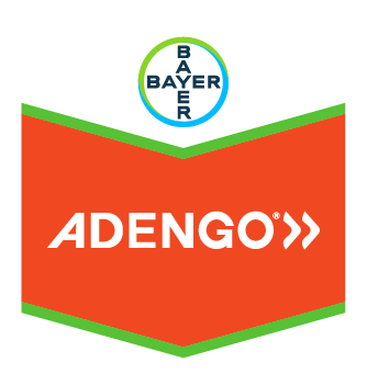 DEKALB - Buenas prácticas agrícolas