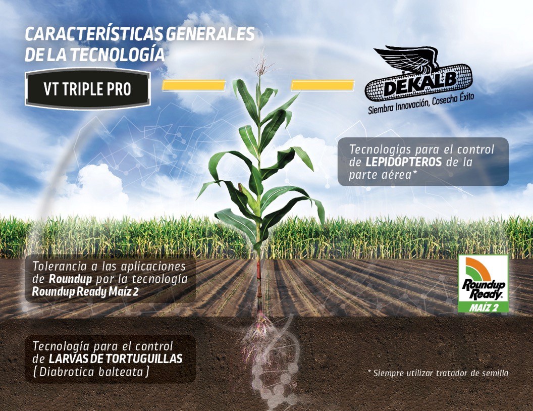 DEKALB - VT Triple Pro