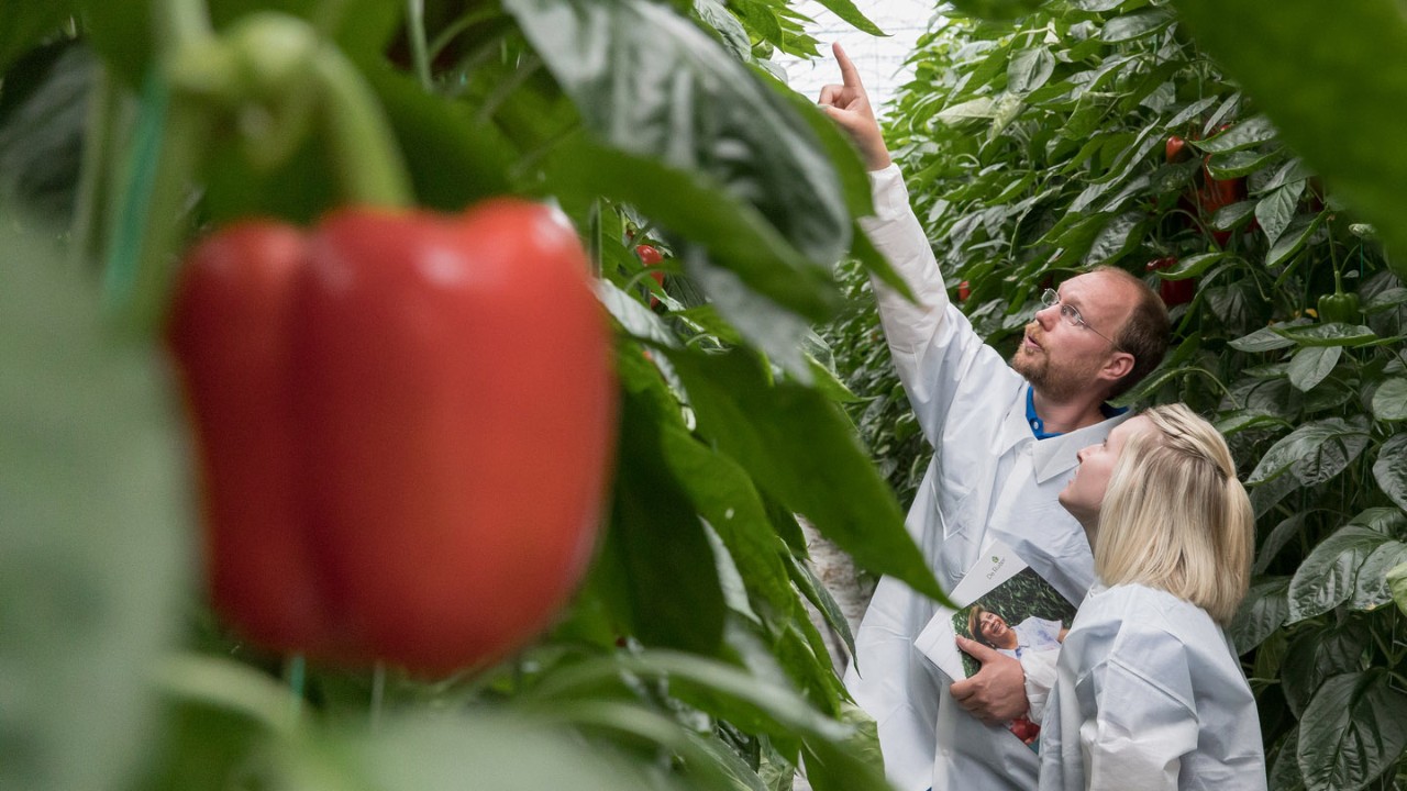 De Ruiter’s research & development