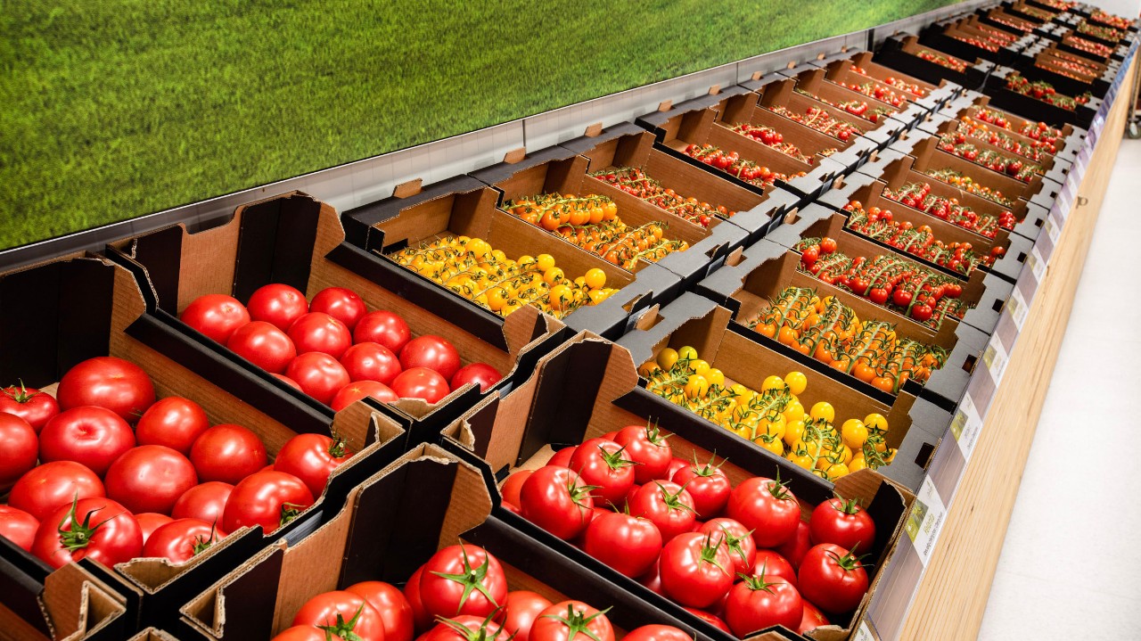 De Ruiter’s vegetable product range